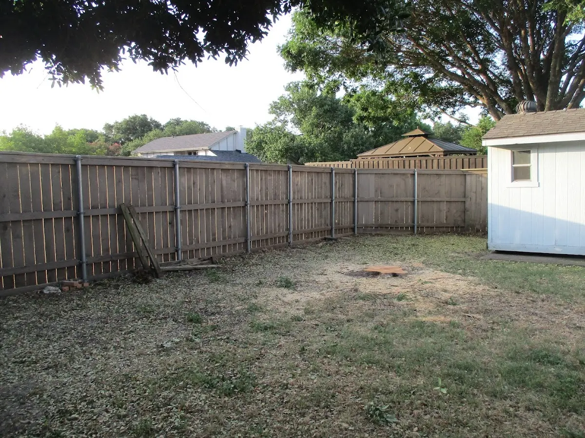 Cleared yard after professional tree removal in Zebulon